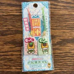 ぐんまちゃん　お守り 開運