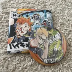 ハイキュー コレクション缶バッジ メモリーズ 月島蛍