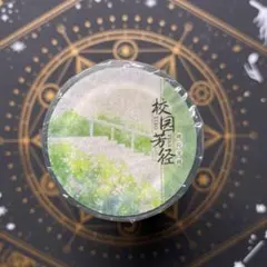 1097】海外 マステ 5/巻 虹光マスキングテープ デザート アイス