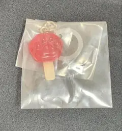 ディズニー ズートピア めじるしアクセサリー アイスキャンディー