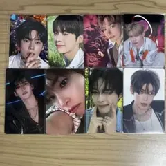 Zerobaseone ハンビン トレカ 8枚セット zb1 ゼベワン