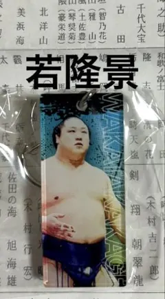 Item thumbnail for item 2a68198d-5c13-4df2-b2e9-1f4f259365f1