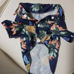 Item thumbnail for item fea80c12-0c8c-42a7-ac89-1711928ffae0