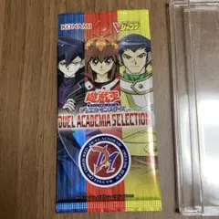 DUEL ACADEMIA SELECTION 遊戯王