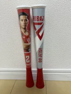 2025年最新】千葉ジェッツ メガホンの人気アイテム - メルカリ