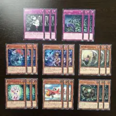 255 遊戯王 24枚セット 静寂のサイコウィッチ 等