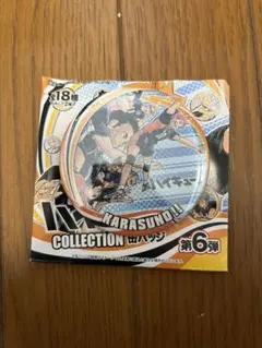 ハイキュー!! コレクション缶バッジ  第6弾　レア 烏野高校