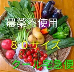 旬のお野菜詰め合わせセット　８０サイズ　クール宅急便のサムネイル