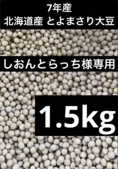 しおんとらっち様専用