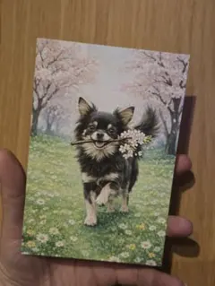 Lalapooh様 リクエスト 2点 まとめ商品