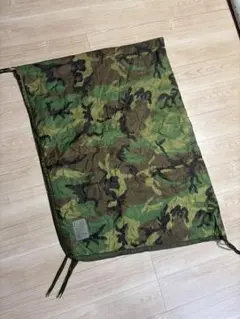 Item thumbnail for item 646b442b-02f4-4134-a5c4-5ac7bc448efb