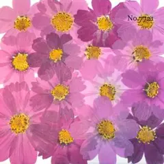 *୨୧⑅満月୨୧⑅*様 リクエスト 3点 まとめ商品