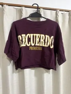 RECUERDO PROMESSA クロップドTシャツ バーガンディ　WEGO