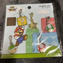 USJ限定　スーパーニンテンドーワールド　チャームセット　アイテム　マリオ