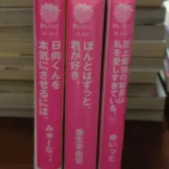 小説 3冊 野いちご
