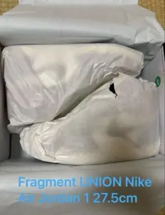 Fragment UNION Nike Air Jordan 1