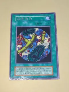 細菌感染 魔法カード　遊戯王　初期
