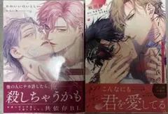 ★BLコミック★ 2冊セット　まとめ売り　美品