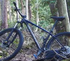 CANNONDALE Fat CAAD1 キャノンデール ファット 2018年 - メルカリ