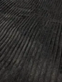 コーデュロイ 太