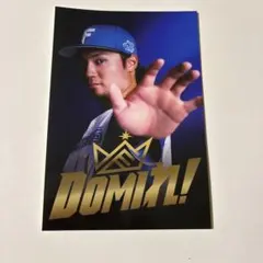 北海道日本ハムファイターズ DOMIれ！ステッカー