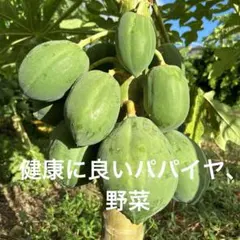 2025年最新】パパイヤの葉の人気アイテム - メルカリ