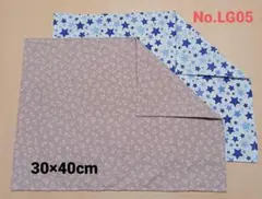 新品ランチョンマット2枚セット《No.LG05 》