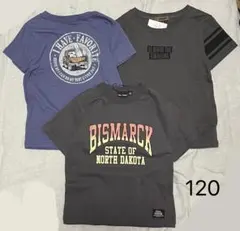 Item thumbnail for item 17c9e86f-3242-4716-adab-ea574e9988d8