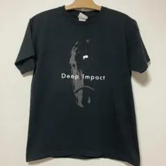 ディープインパクト　馬