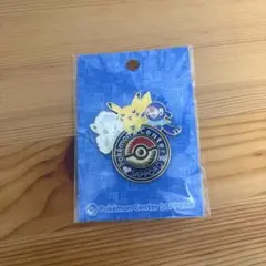 ポケモンセンター 北海道 札幌 ロゴピンズ ポケモン Pokemon 4点セット
