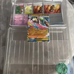 メガエルレイドexプロモ