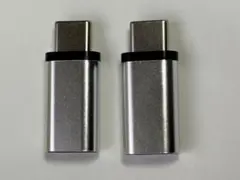 ２個セット lightningケーブル 変換 ctypeタイプC 変換 アダプタ