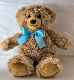 Honey Teddy Bear ダイソー スティーブ テディベア