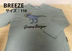 BREEZE ブリーズ　恐竜プリント長袖カットソー　110