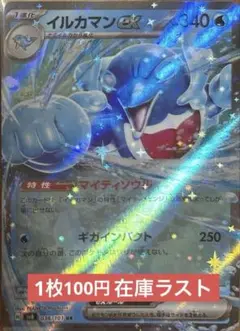 イルカマン