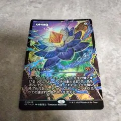 MTG　日本語版foil　光輝の睡蓮のサムネイル