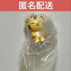 MINITEENつまんでつなげてますこっと ホシ　SEVENTEEN タムタムのサムネイル