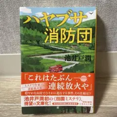 ハヤブサ消防団