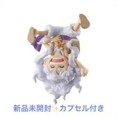 ワンピの実 ニカ ルフィ