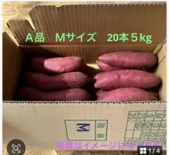JAかとり　さつまいも紅はるか　上物 Ｍサイズ　20本 5kgのサムネイル