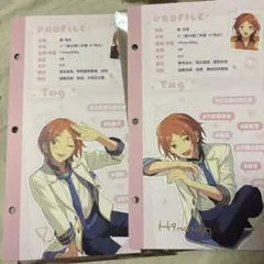 推しプロフィールカード 2wink
