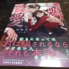 TL小説（文庫）嘘と溺愛 腹黒御曹司はかりそめの恋人を離さない