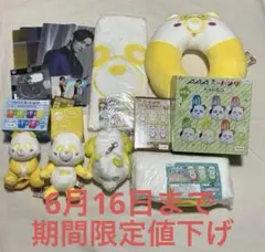 AAA 西島隆弘 にっしー グッズセット え〜パンダ キーホルダー タオル