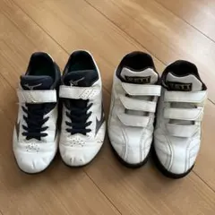 Item thumbnail for item ffbf91d0-9a01-4cc3-ba09-d2dede39f4a2