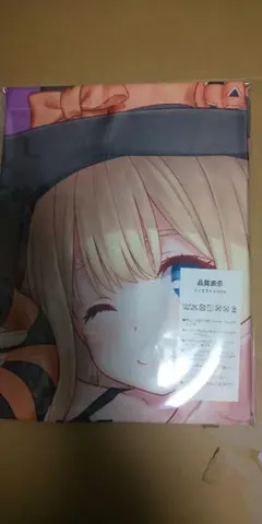 [41-15] タペストリー