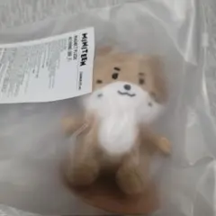 SEVENTEEN miniteen マグネットキーリング　ディノ　チャンダリン