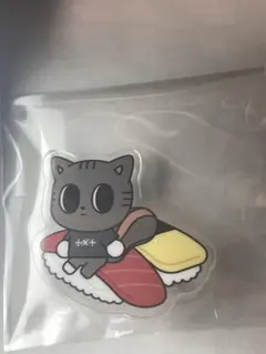 TXT プルバトゥ ダゴニャン　アクリルバッジ ご当地　東京 有明