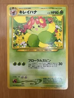 ポケモン ウィークリーカード No.9 ロゼリアとキレイハナと花ふぶき ポケモン ウィークリーカード No.9 ロゼリアとキレイハナと花ふぶき