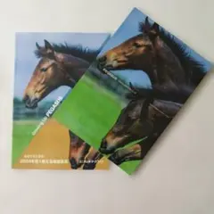 ユニオンオーナーズクラブ 2024年度1歳募集馬カタログ　非売品