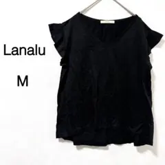 Item thumbnail for item 611081d2-887b-4c27-8532-4133192751b9